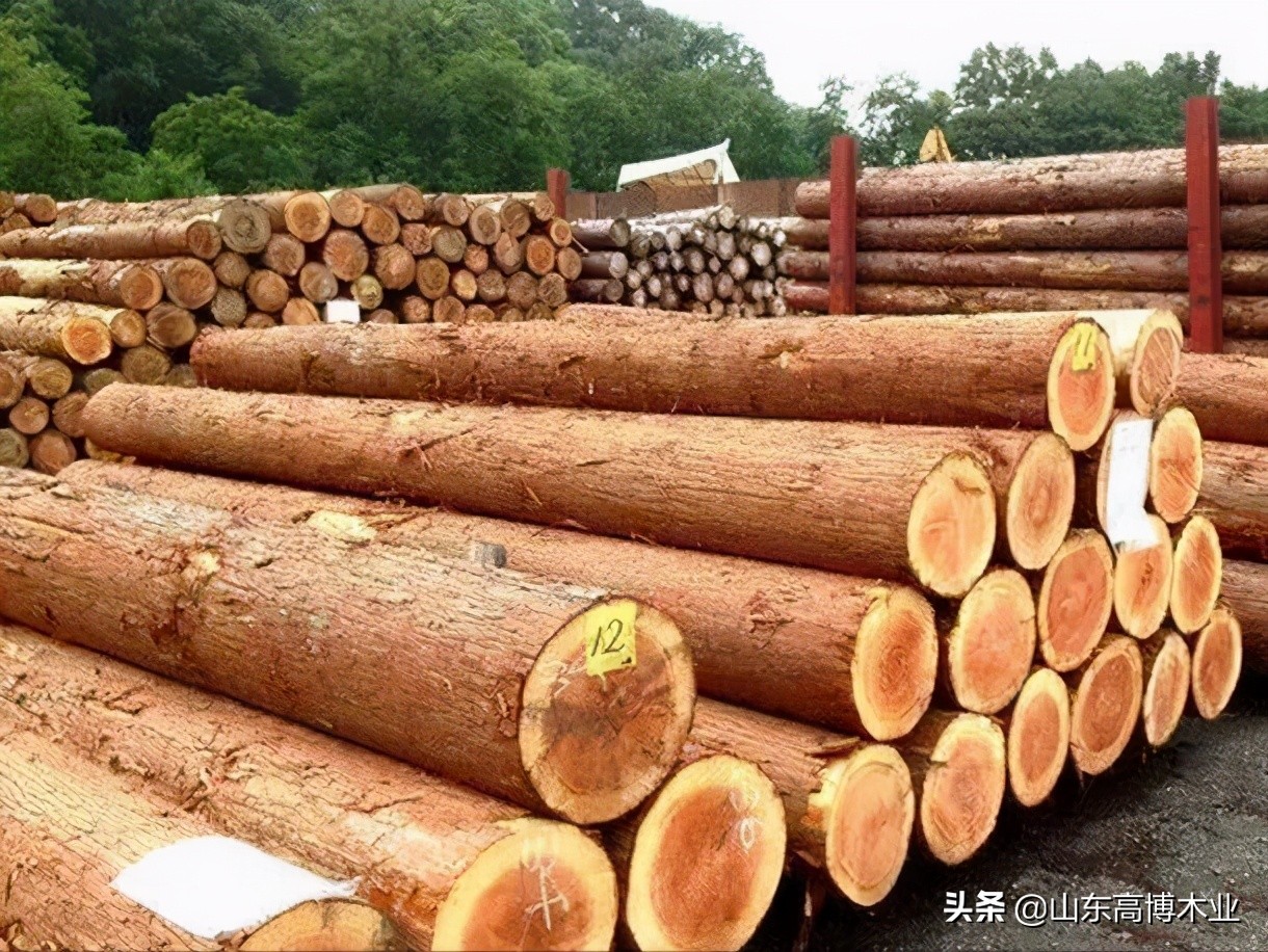 如何挑选实木家具 深入解析木材的弦切与径切