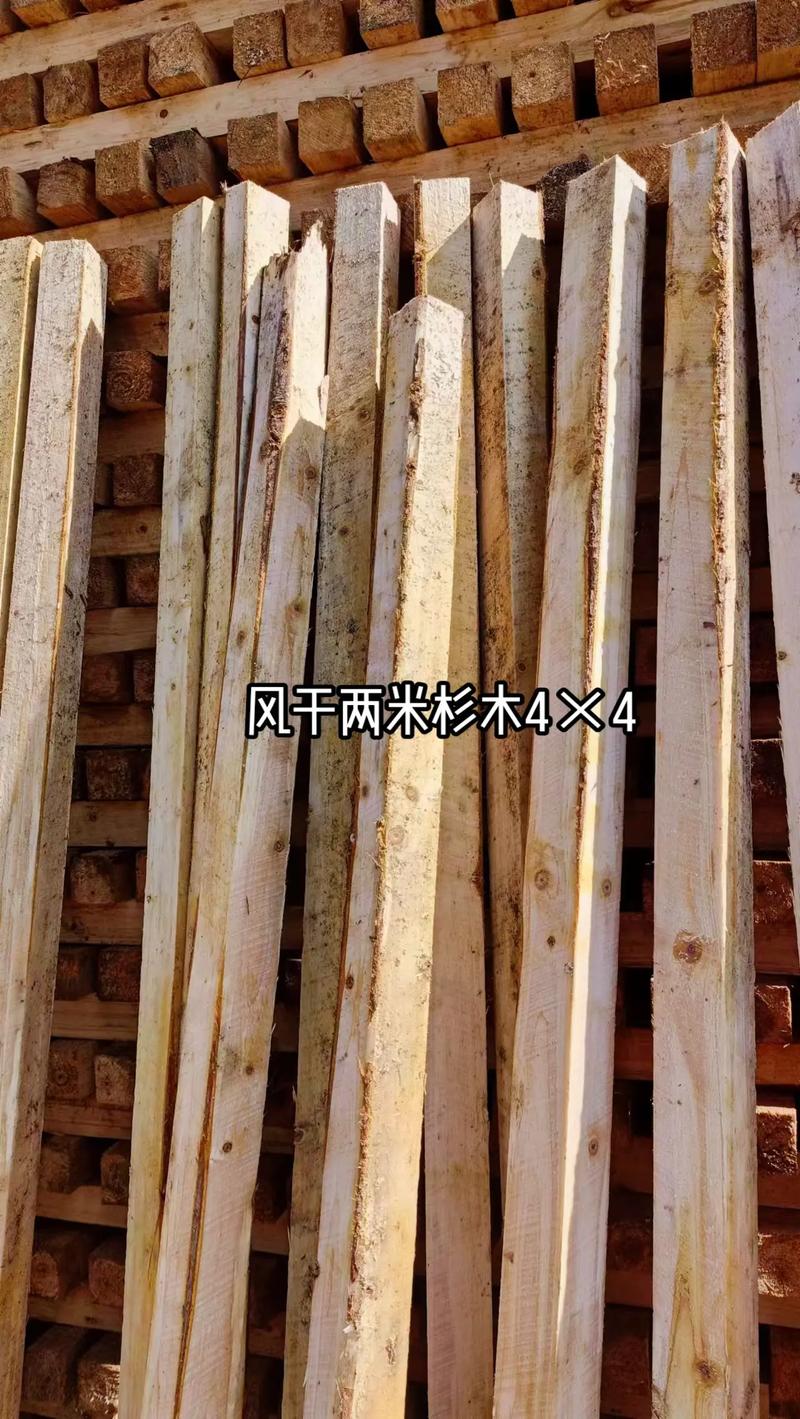 木材加工厂 从原木到托盘，揭秘木箱包装与木托盘背后的产业力量